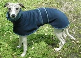 Dog High Neck Coat