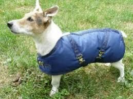 Dog Jacket