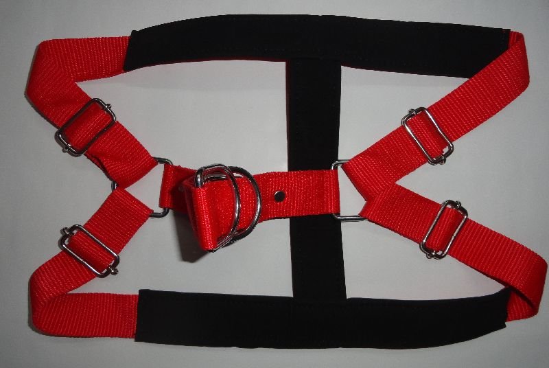 Dog Padded Harness 05