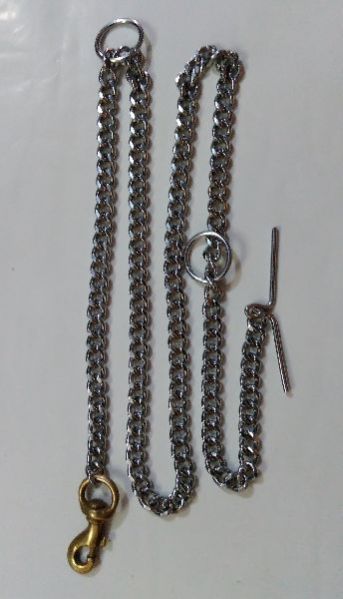 Dog Twisted Chain 05