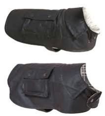 Dog Water Proof Jacket