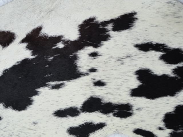 Hair On Black & White Jersey Leather