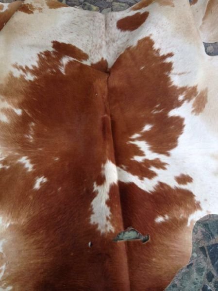 Hair On Brown  & White Jersey Leather