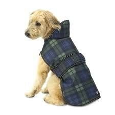 Pet Dog Jacket