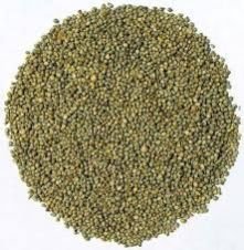 Millet Seeds