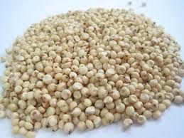 Sorghum Seeds