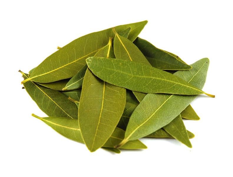 Fresh Bay Leaves 03