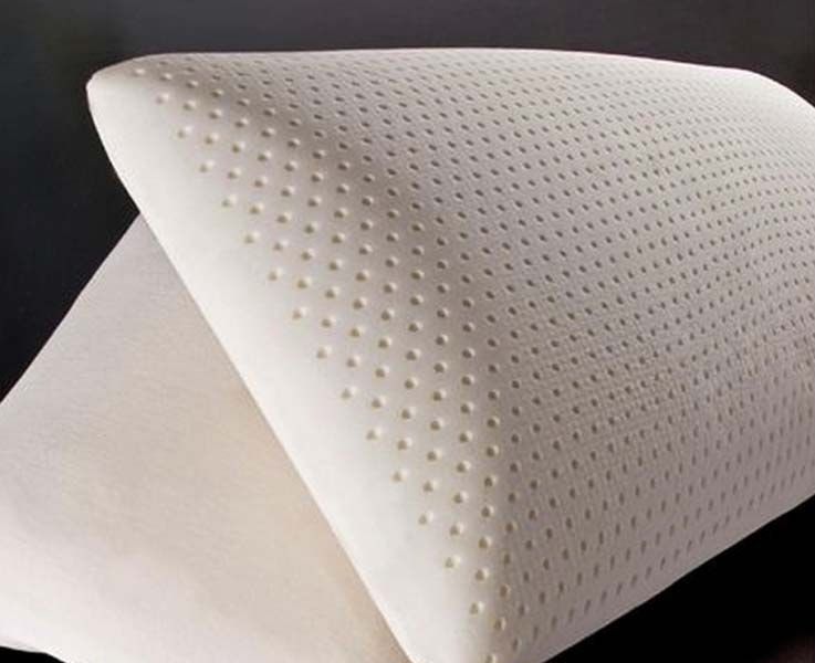 Latex Foam Pillows 01