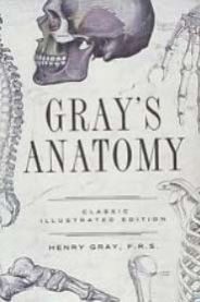 Gray's Anatomy Medical Book