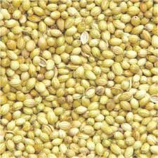 Coriander Seedsa