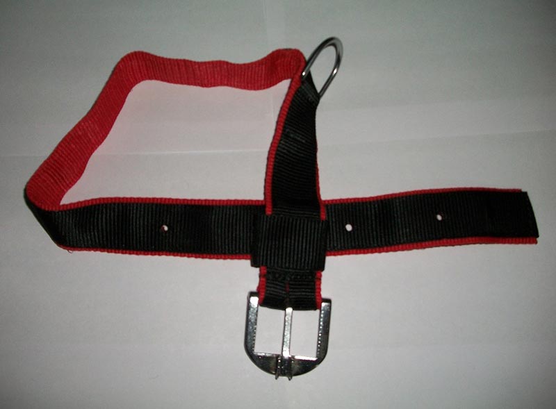 Dog Collars 03