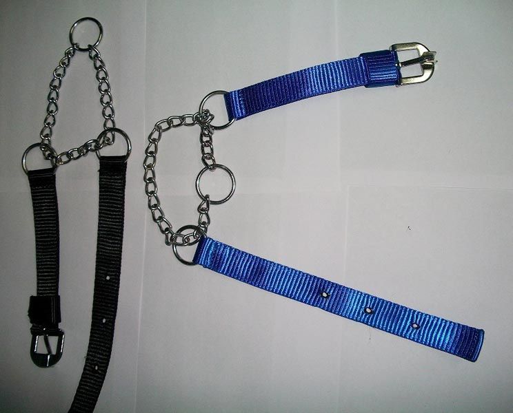 Dog Collars 05