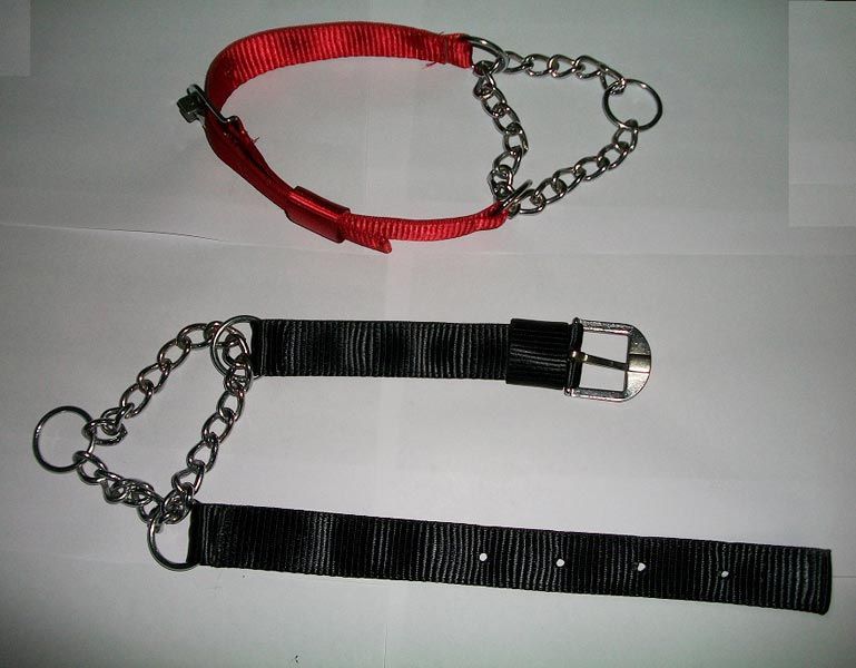 Dog Collars 06
