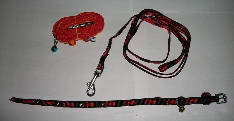 Dog Collars 07