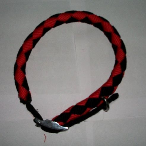 Dog Collars 08