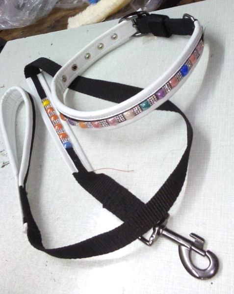 Dog Collars 10