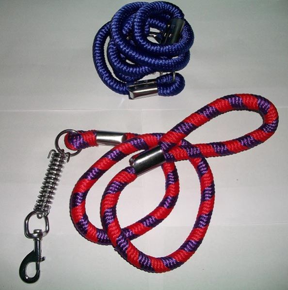 Dog Leads 01
