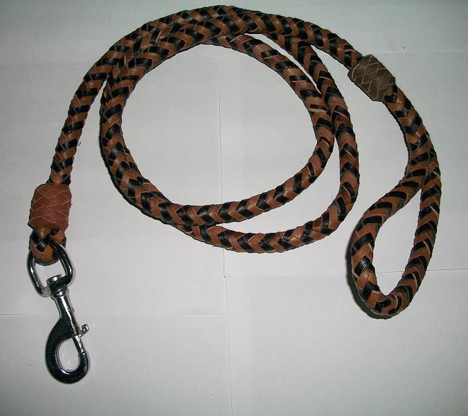 Dog Leads 03