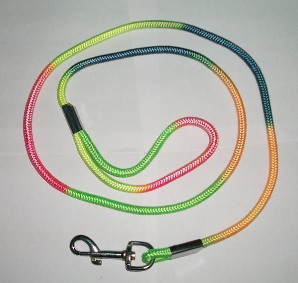 Dog Leads 06