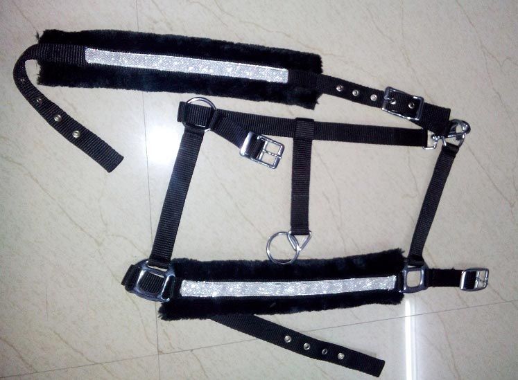 Horse PP Halter - NSM-HPPH-037