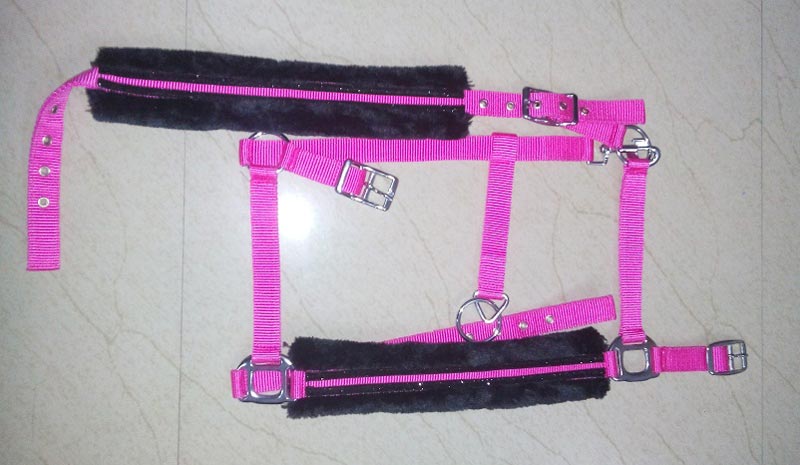 Horse PP Halter - NSM-HPPH-038