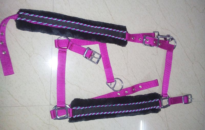 Horse PP Halter - NSM-HPPH-039