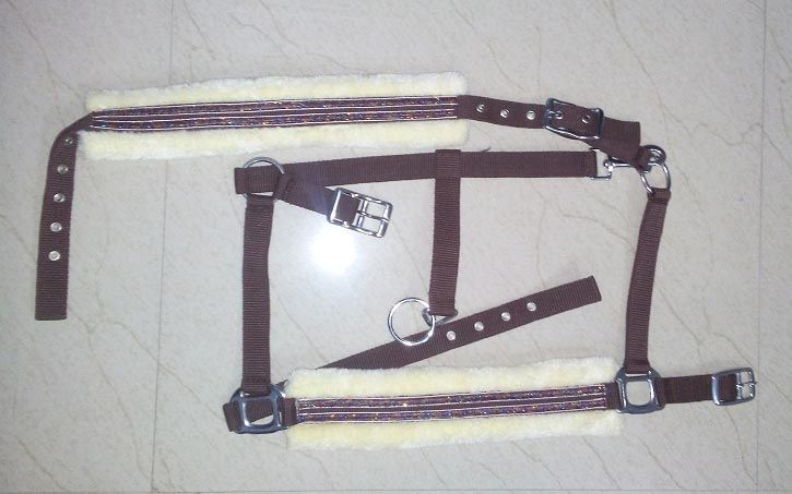 Horse PP Halter - NSM-HPPH-040