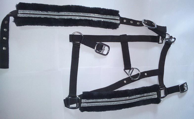 Horse PP Halter - NSM-HPPH-041