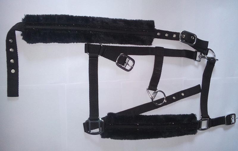 Horse PP Halter - NSM-HPPH-043