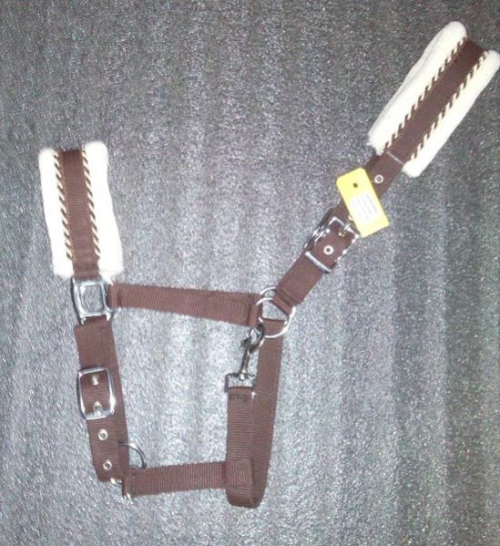 Horse PP Halter - NSM-HPPH-044