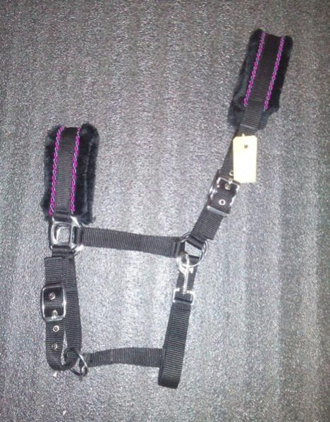 Horse PP Halter - NSM-HPPH-045