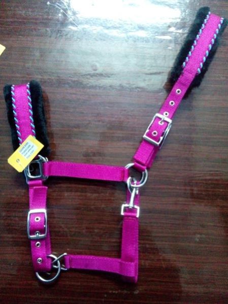 Horse PP Halter - NSM-HPPH-047
