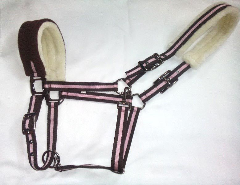 Horse PP Halter - NSM-HPPH-054