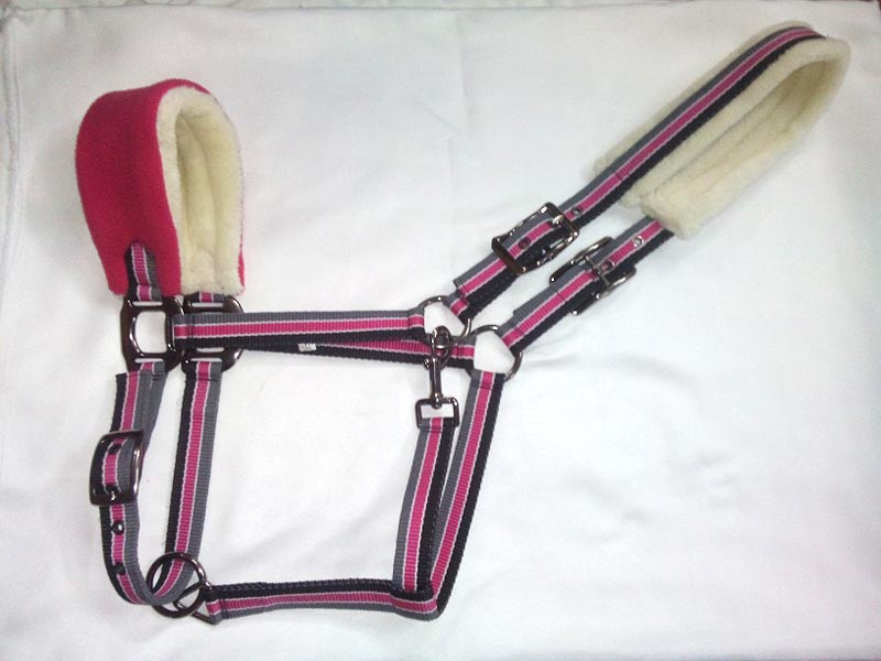 Horse PP Halter - NSM-HPPH-055