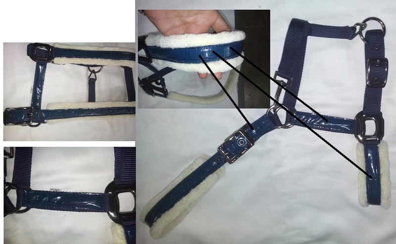 Horse PP Halter - NSM-HPPH-056