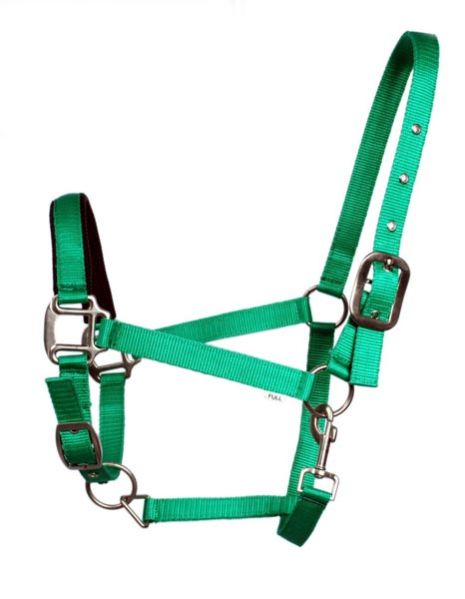 Horse PP Halter - NSM-PPH-003
