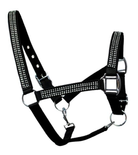 Horse PP Halter - NSM-PPH-005