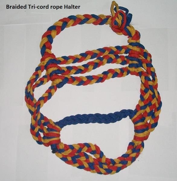 Horse Rope Halter - NSM-JMD-101
