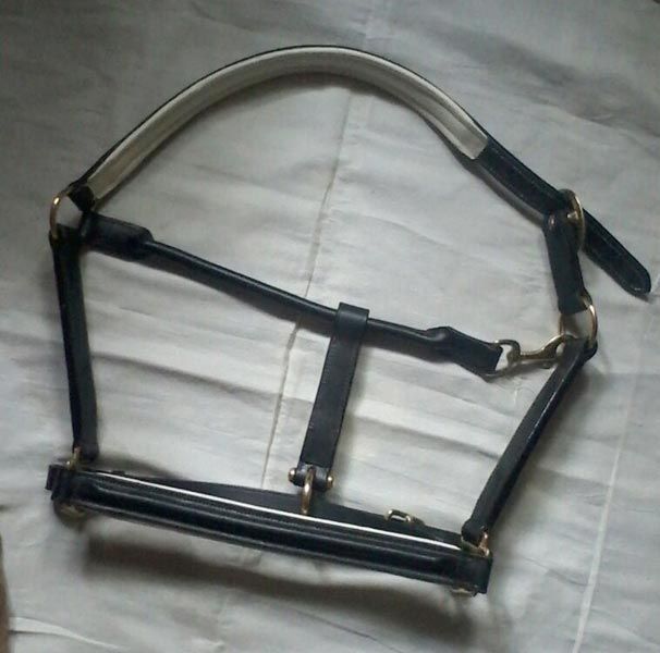 Item Code : NSM-LH-001