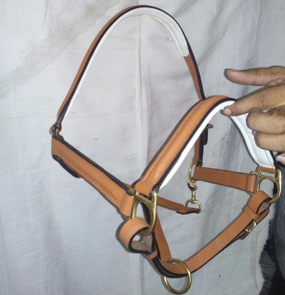 Item Code : NSM-LH-002