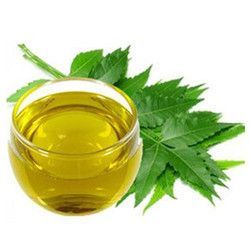 Organic Cold Pressed Neem Oil 03