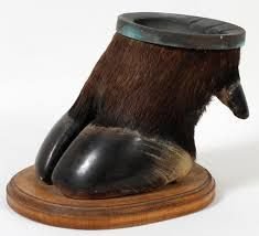 Buffalo Hooves 03