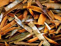 Cinnamon