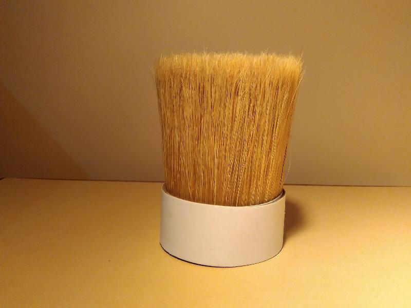 Chinese Bristle 01