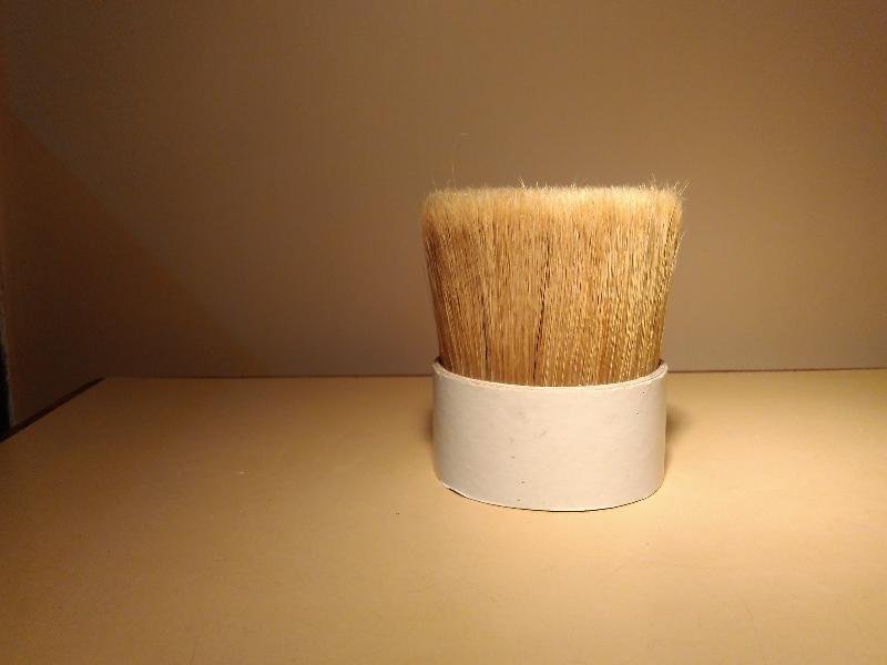 Chinese Bristle 04