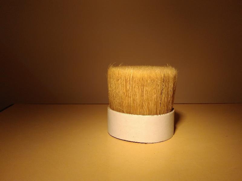 Chinese Bristle 05