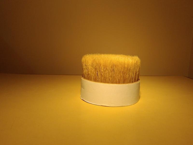 Chinese Bristle 07