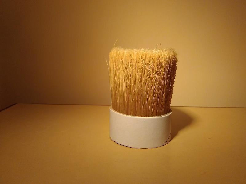 Chinese Bristle 09