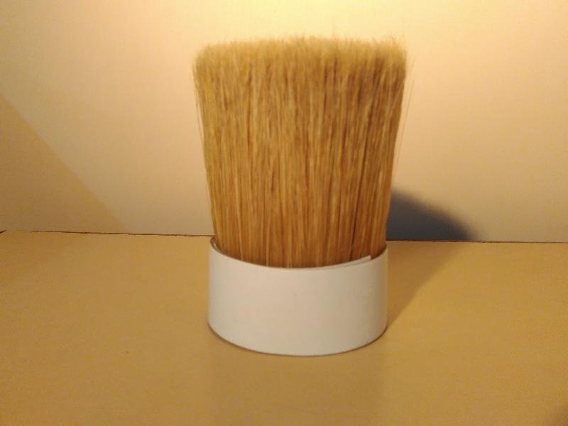 Chinese Bristle 15