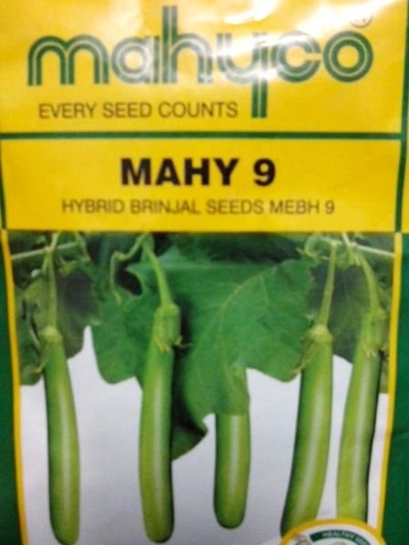 MAHY 9 Hybrid Brinjal Seeds